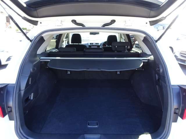 Subaru OUTBACK 2016-11 19134-8