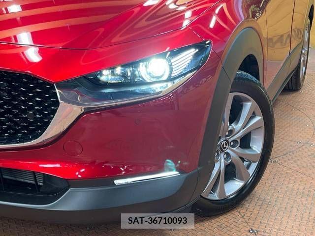 Mazda CX-30 2021-09 295615-13