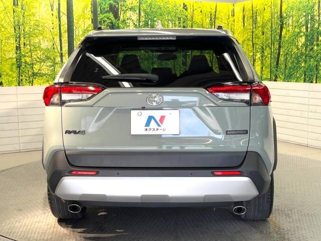 Toyota RAV4 2019-06 458198-15