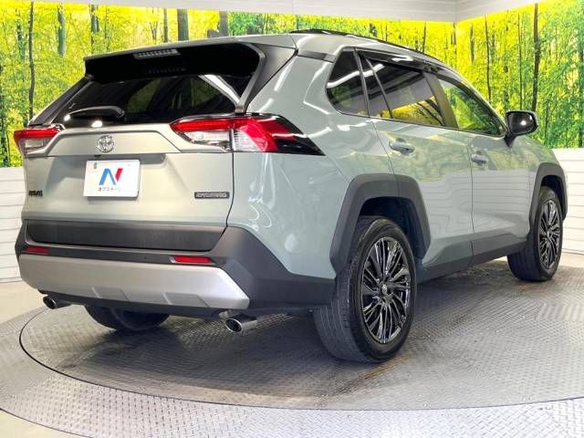 Toyota RAV4 2019-06 458198-17