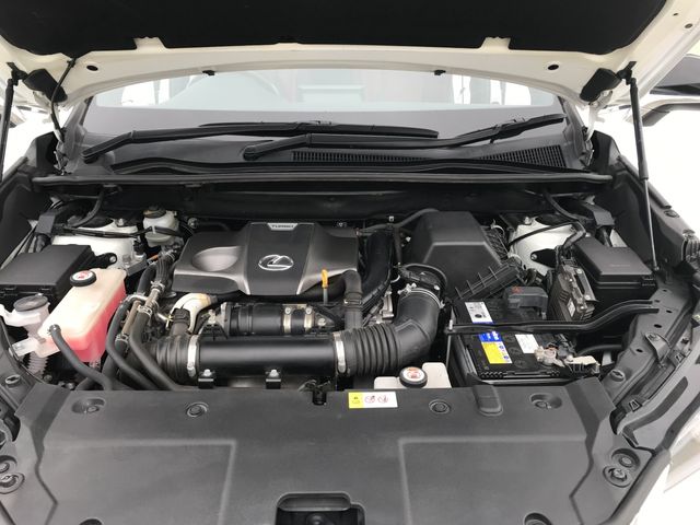 Lexus NX 2017-01 1699-28