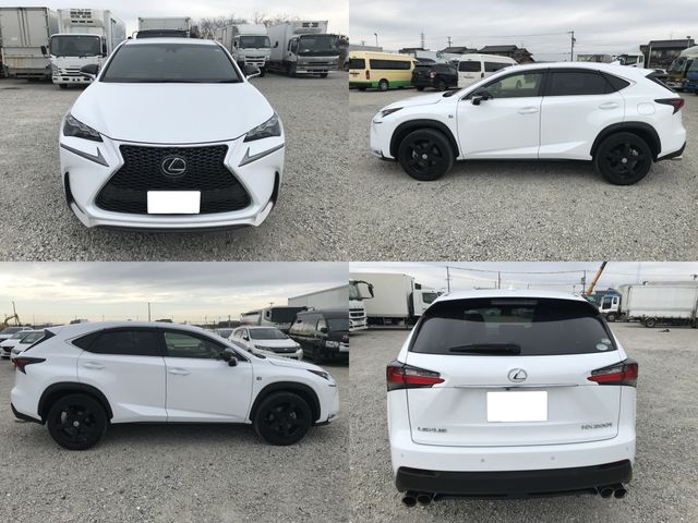 Lexus NX 2017-01 1699-5