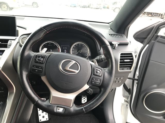 Lexus NX 2017-01 1699-11