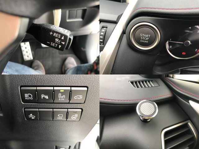 Lexus NX 2017-01 1699-13