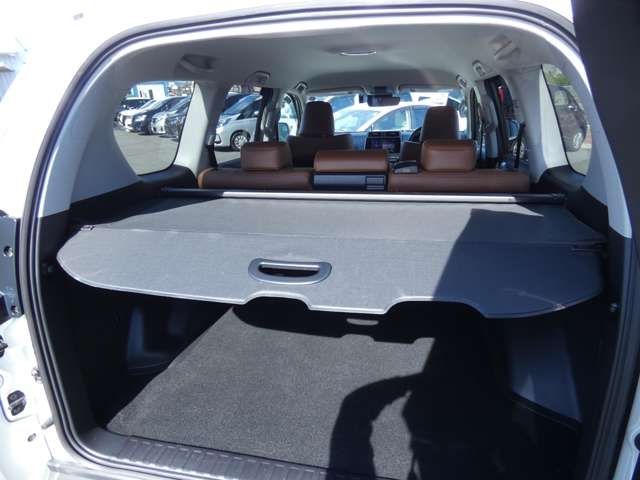 Toyota PRADO 2022-01 11242-26