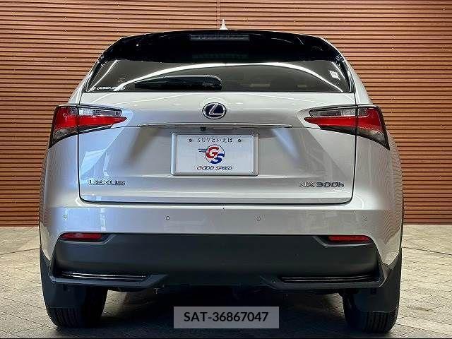 Lexus NX 2015-09 209456-12