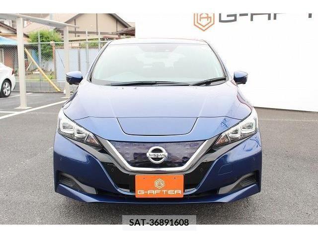 Nissan LEAF 2019-08 324803-1