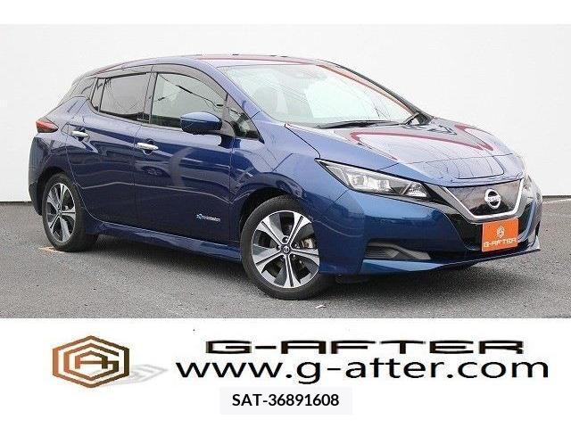 Nissan LEAF 2019-08 324803-0