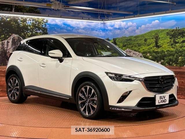Mazda CX-3 2019-04 265562-13