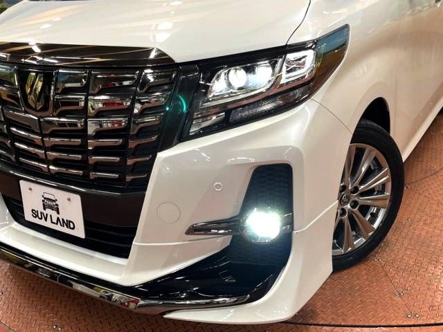 Toyota ALPHARD 2017-04 19259-12
