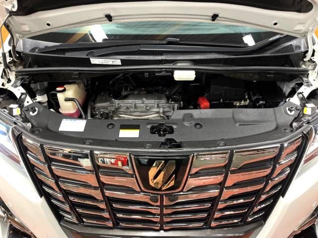 Toyota ALPHARD 2017-04 19259-18