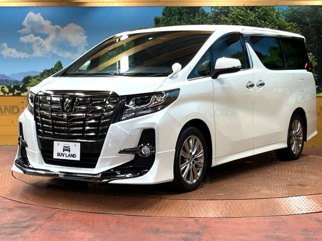 Toyota ALPHARD 2017-04 19259-16