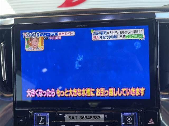 Toyota VELLFIRE 2019-02 250342-2