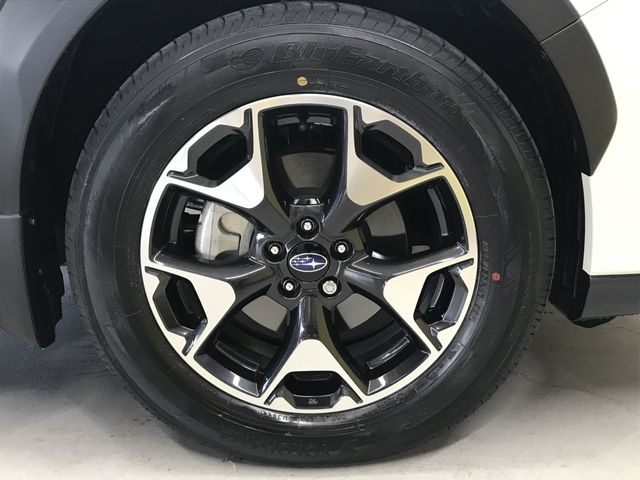 Subaru SUBARU 2018-11 11793-20