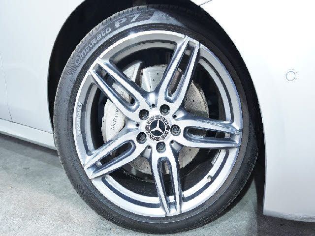 Mercedes Benz E-CLASS 2018-07 195419-7