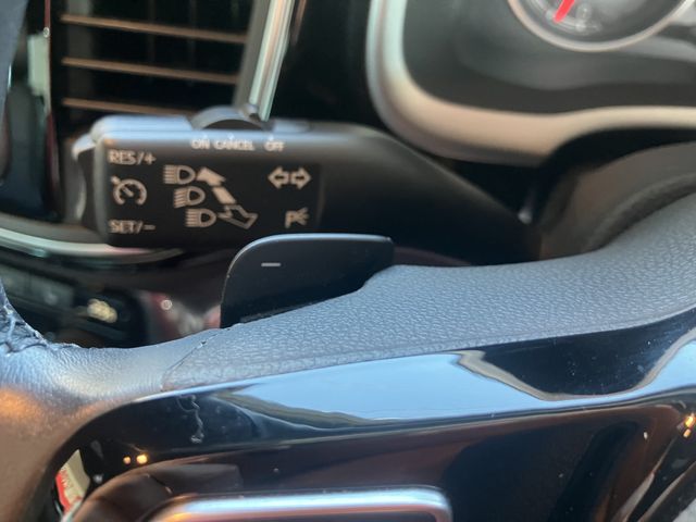 VolksWagen THE BEETLE 2019-07 186924-21