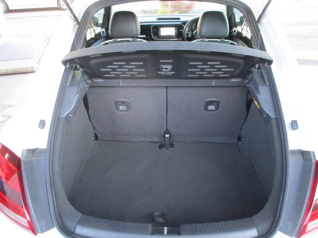 VolksWagen THE BEETLE 2019-07 186924-19