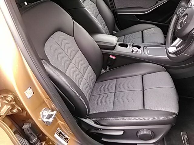 Mercedes Benz GLA-CLASS 2018-06 16688-9