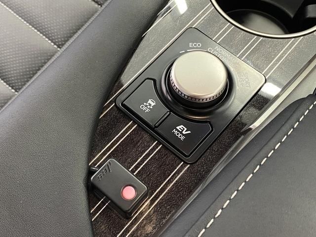 Lexus RX 2016-09 16031-20