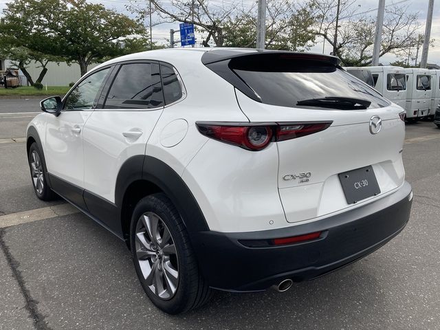 Mazda CX-30 2020-02 20984-2