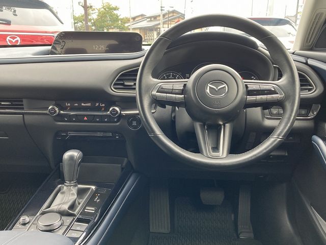 Mazda CX-30 2020-02 20984-15