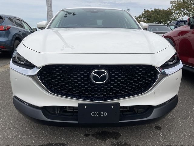Mazda CX-30 2020-02 20984-4