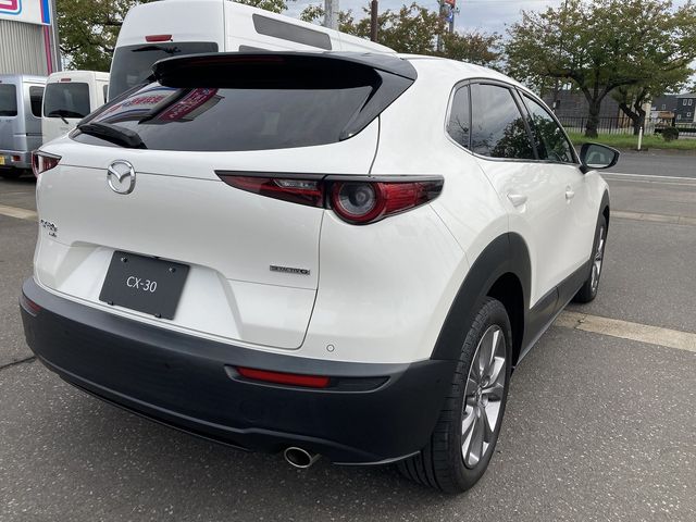 Mazda CX-30 2020-02 20984-6