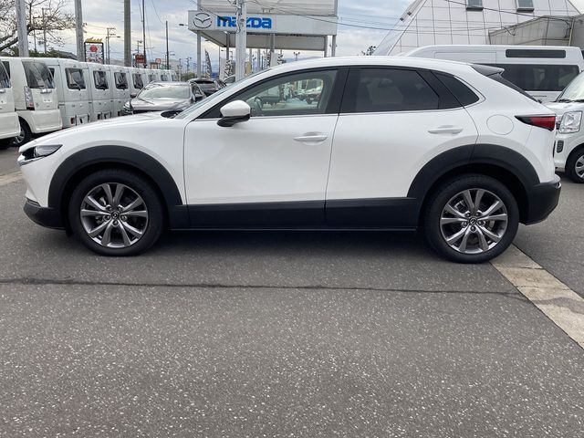 Mazda CX-30 2020-02 20984-8