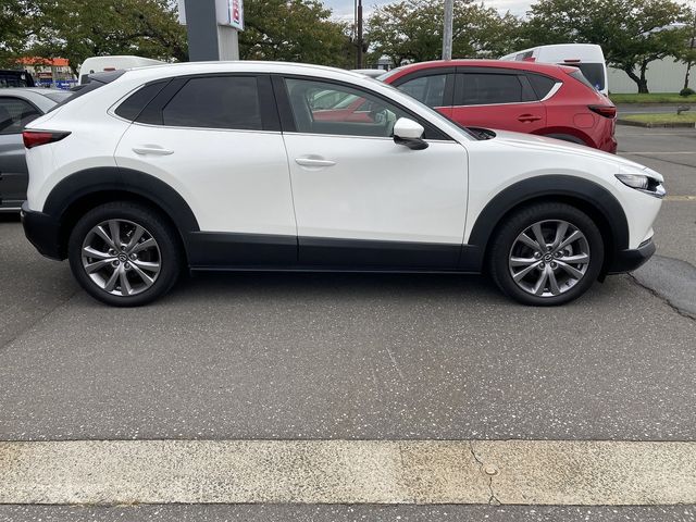 Mazda CX-30 2020-02 20984-5