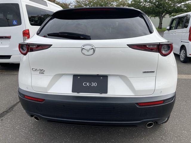 Mazda CX-30 2020-02 20984-7