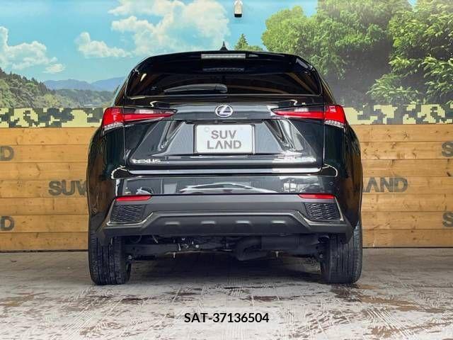 Lexus NX 2019-09 247004-15