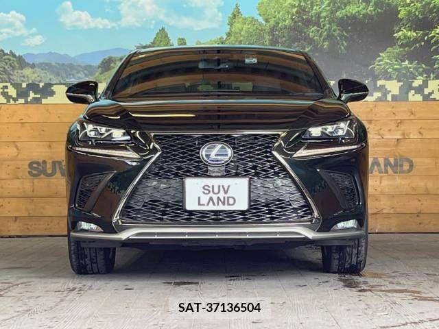 Lexus NX 2019-09 247004-14