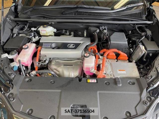 Lexus NX 2019-09 247004-18