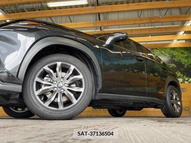 Lexus NX 2019-09 247004-13