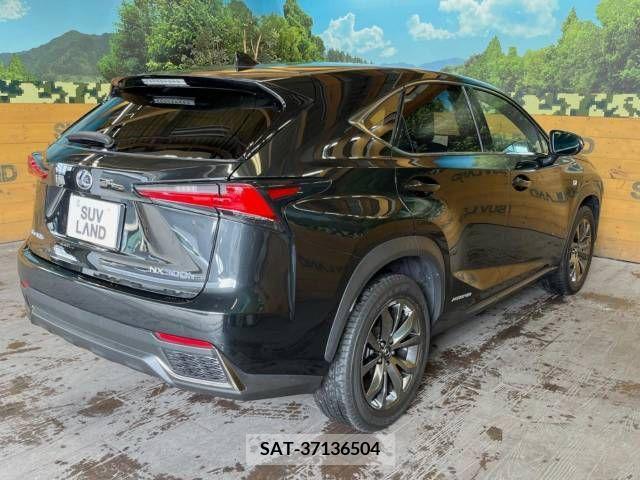 Lexus NX 2019-09 247004-17