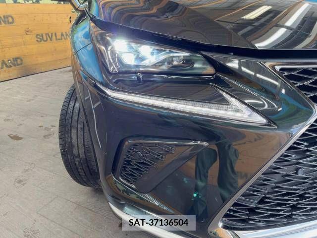 Lexus NX 2019-09 247004-12