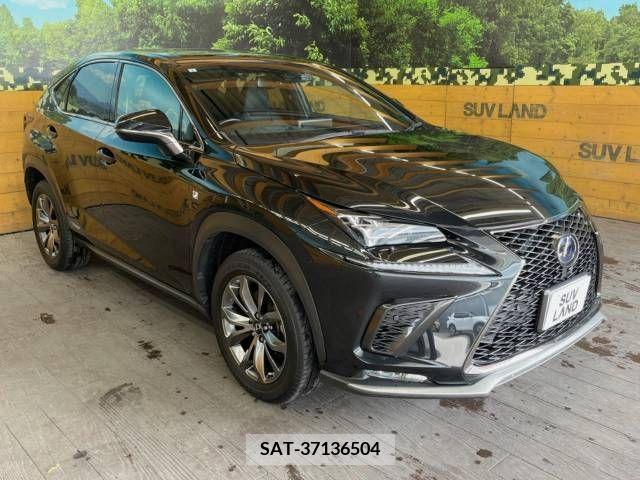 Lexus NX 2019-09 247004-16