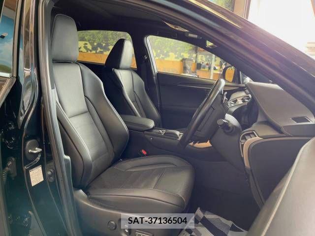 Lexus NX 2019-09 247004-9