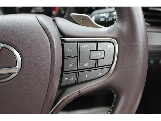 Lexus LS 2018-04 6222-4