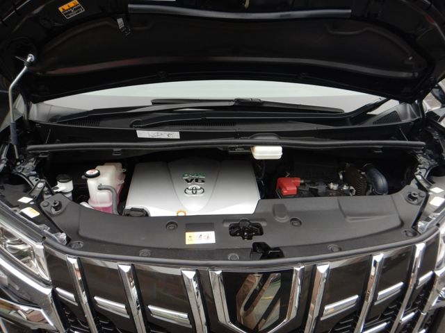 Toyota ALPHARD 2021-11 195521-22