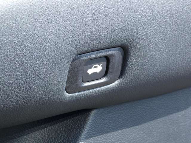 Toyota CROWN SEDAN 2014-01 3390-19