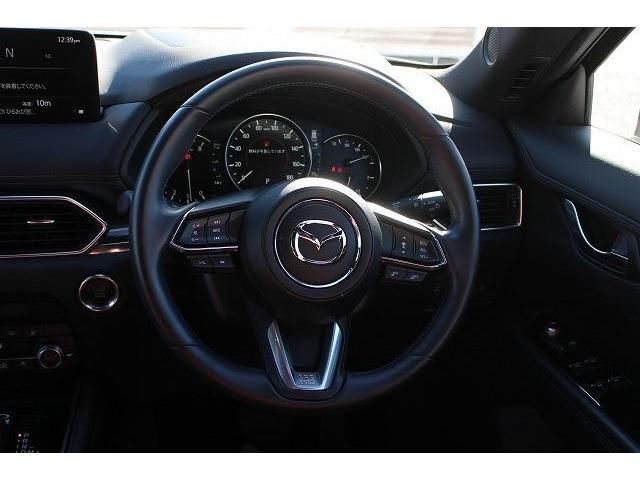 Mazda CX-8 2021-07 196442-15