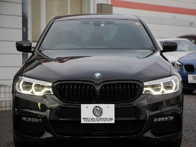 Bmw 5 SERIES 2018-11 16483-28