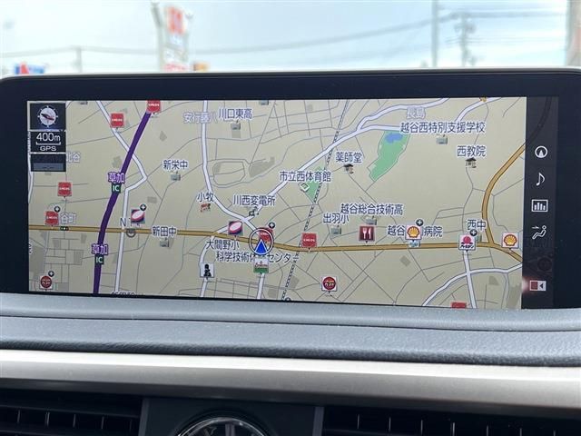 Lexus RX 2020-10 11874-15