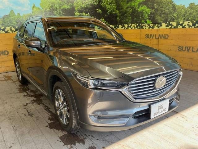 Mazda CX-8 2019-11 188713-16
