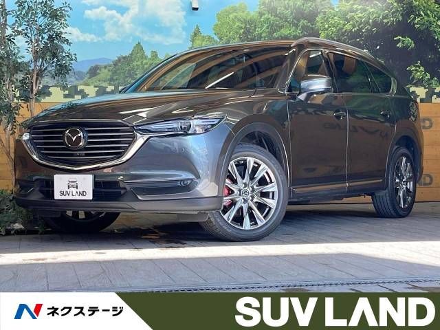 Mazda CX-8 2019-11 188713-0