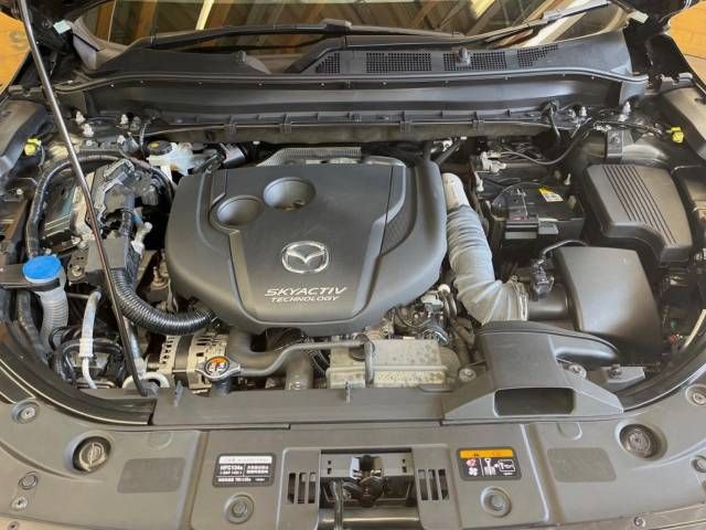 Mazda CX-8 2019-11 188713-18