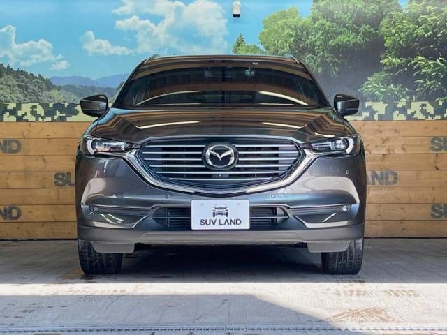 Mazda CX-8 2019-11 188713-14
