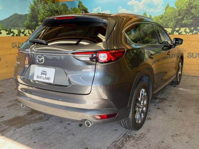 Mazda CX-8 2019-11 188713-17