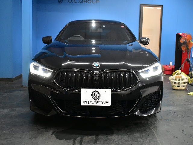 Bmw 8 SERIES 2021-02 195903-24